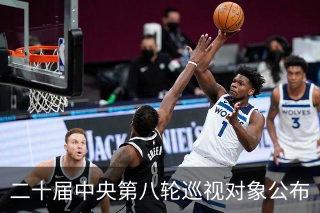 二十届中央第八轮巡视对象公布