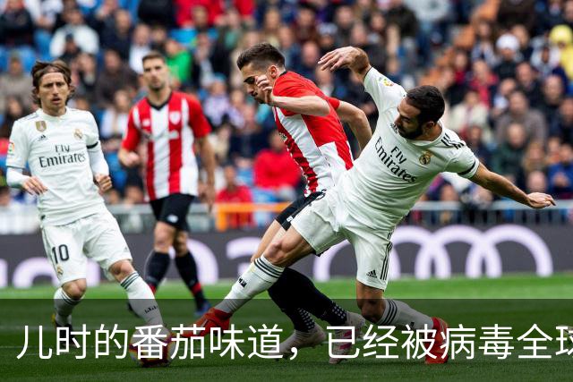 儿时的番茄味道，已经被病毒全球灭绝了20多年