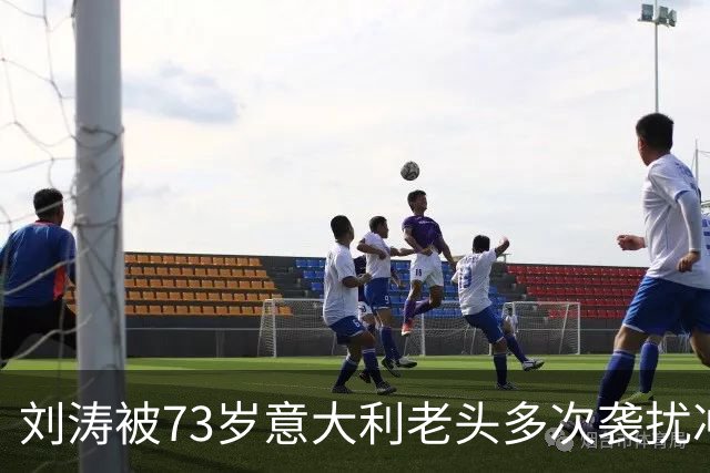 刘涛被73岁意大利老头多次袭扰冲上热搜