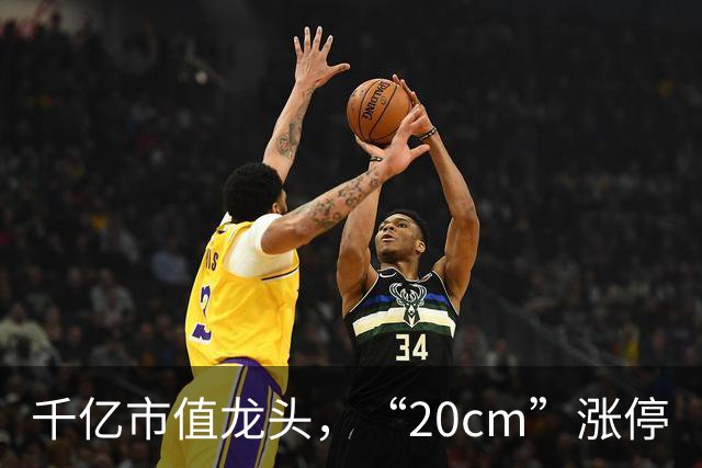千亿市值龙头，“20cm”涨停