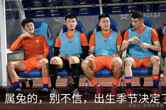 属兔的，别不信，出生季节决定了你是“伺候人”还是“被人伺候”