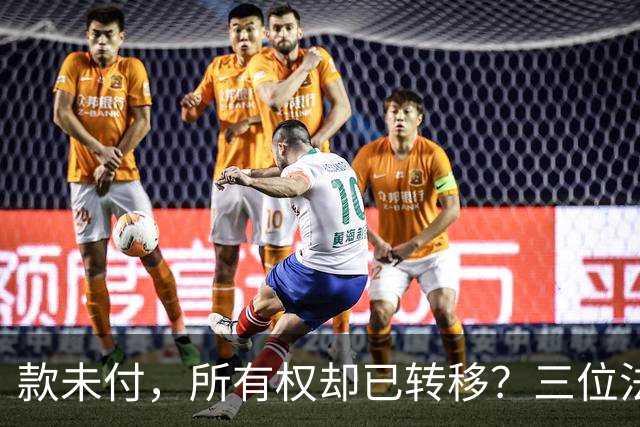 款未付，所有权却已转移？三位法学专家提出异议，陕西1200万元原煤追偿案申请再审