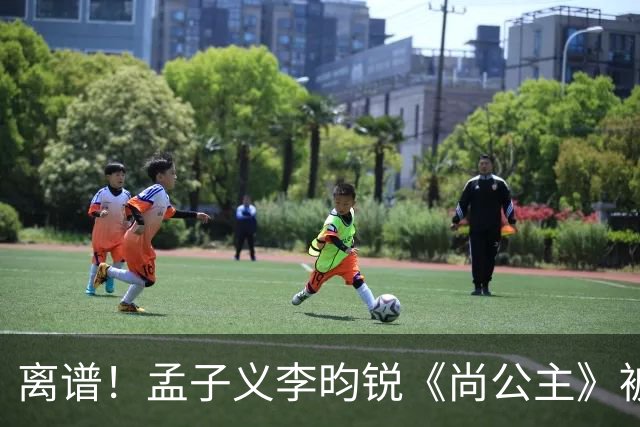 离谱！孟子义李昀锐《尚公主》被差评淹没，网友吐槽文案出乎意料地一致