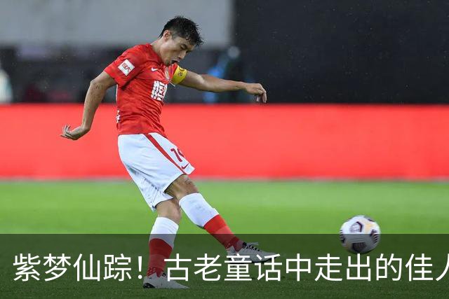 紫梦仙踪！古老童话中走出的佳人，一场华贵与温婉的邂逅